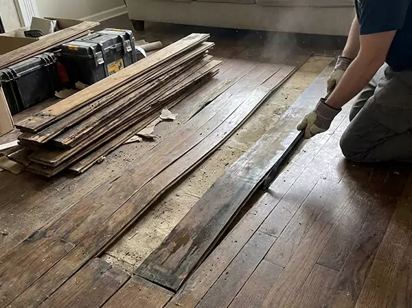 Water Damage Drying in Resaca