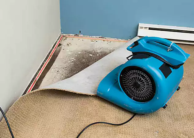 Your Water Damage Experts in Resaca, GA