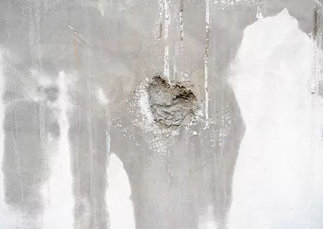 Your Mold Mitigation Solutions Partner in Resaca, GA