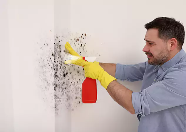 Your Water Mold Fire Restoration Partner in Resaca, GA