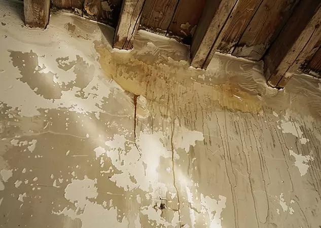 Your Trusted Restoration Company in Resaca, GA