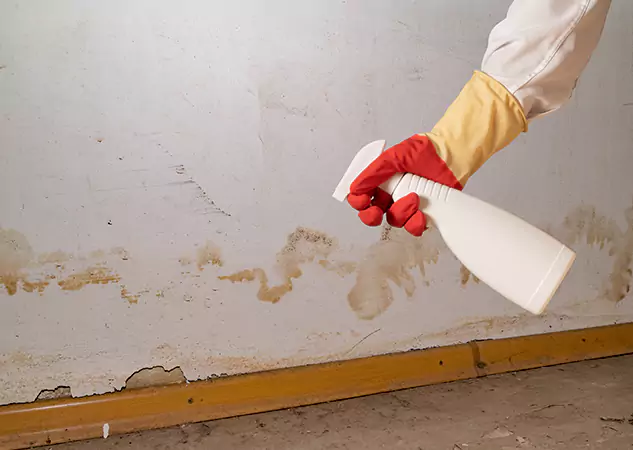 Your Water Restoration and Mold Remediation Specialists in Resaca, GA