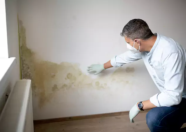 Reach Our Remediation Team Before Damage Grows in Resaca, GA!