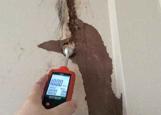 Your Water Damage Assessment Partner in Resaca, GA