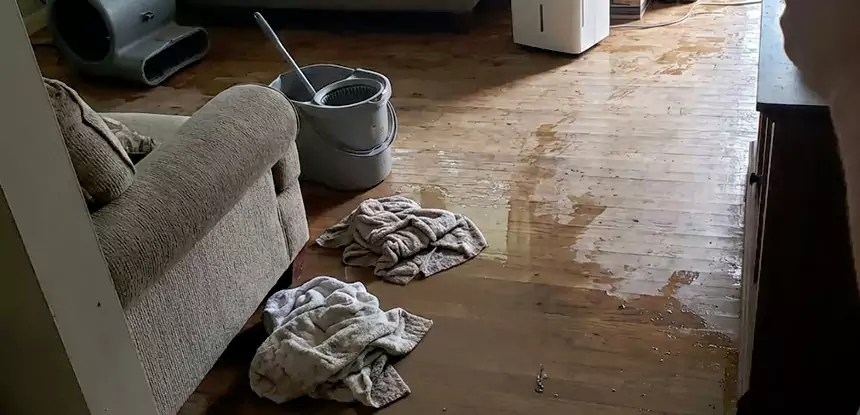 Professional Basement Water Remediation Services in Resaca, GA