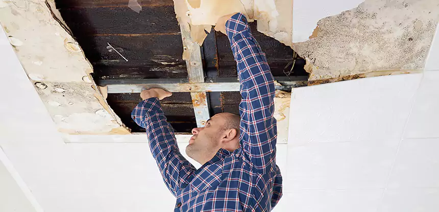 Attic Wood Rot Repair in Resaca