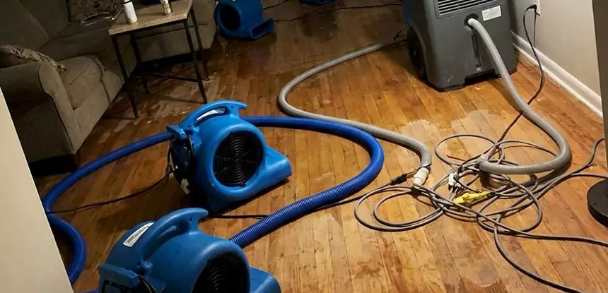 Basement Flood Restoration Services in Resaca