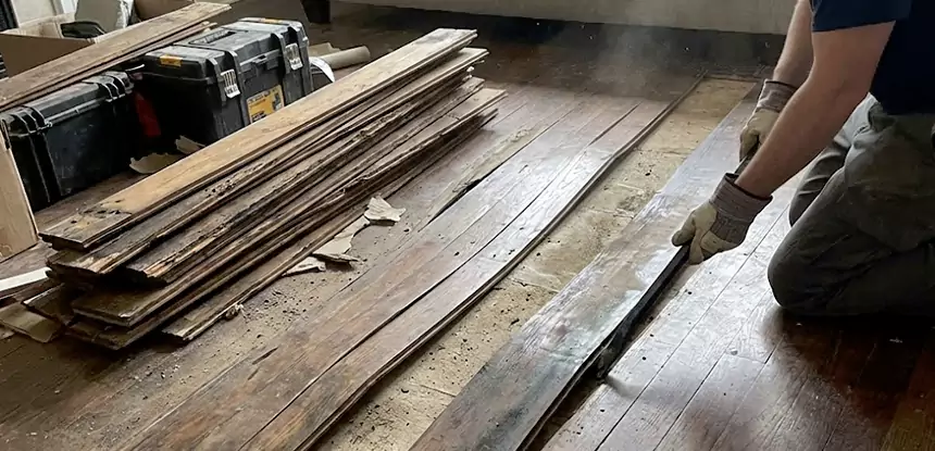 Wood Rot and Fungus Repair in Resaca