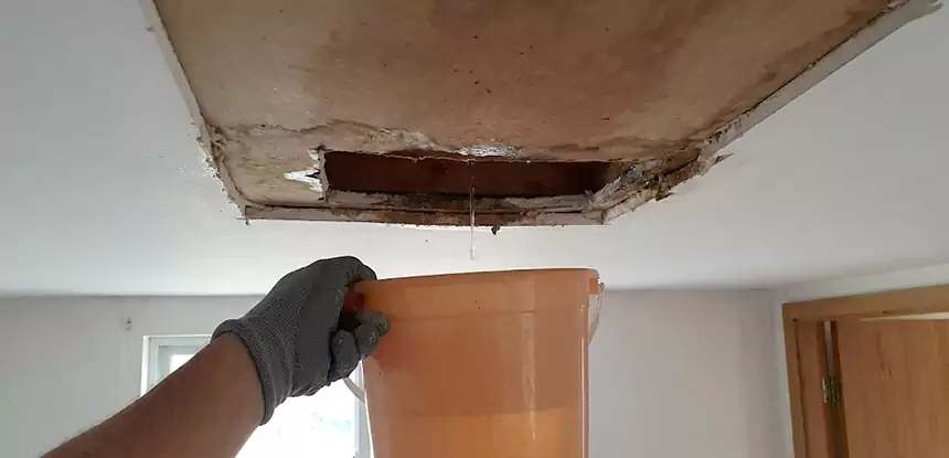 Ceiling Mold Repair Resaca