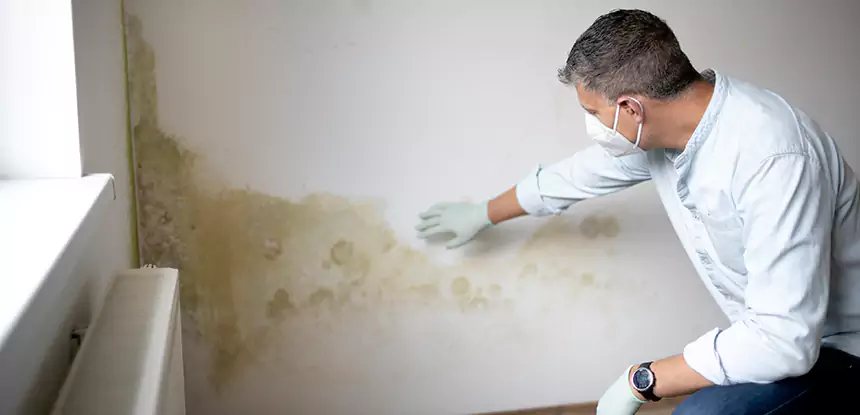 Mold and Water Damage Repair in Resaca