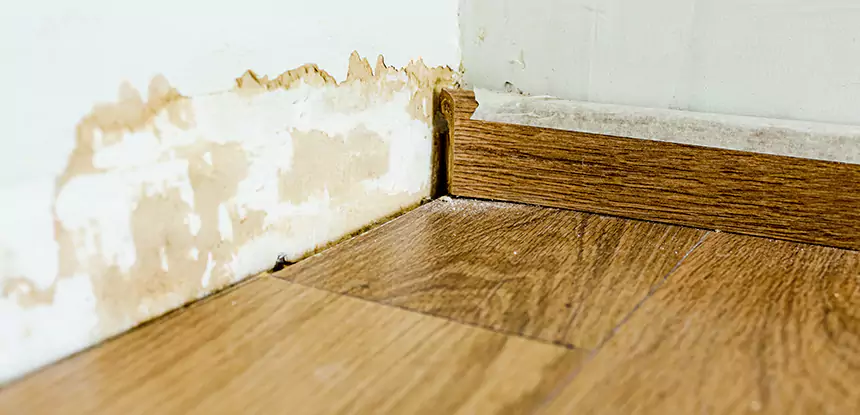 Professional Fix Water Damaged Wood Services in Resaca, GA