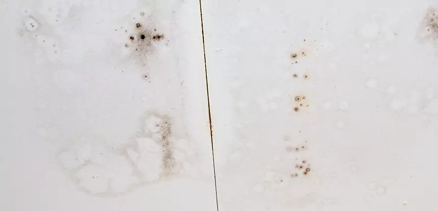 Professional Water Stain Repair Services in Resaca, GA