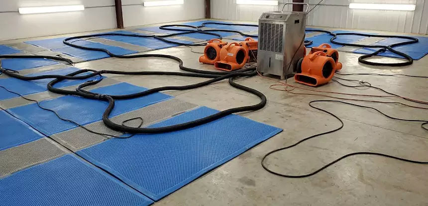 Professional Flooded Carpet Drying Services in Resaca, GA
