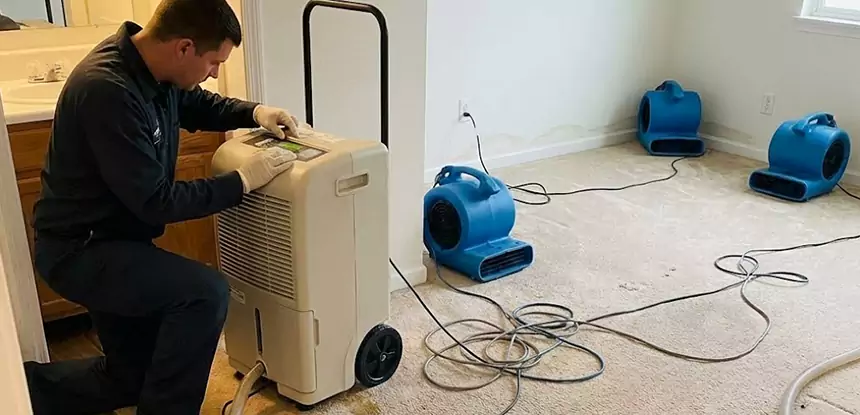 Professional Wet Carpet Removal Services in Resaca, GA