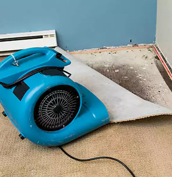 Why Resaca Trusts Resaca Restoration Pro for Carpet Flood Recovery?