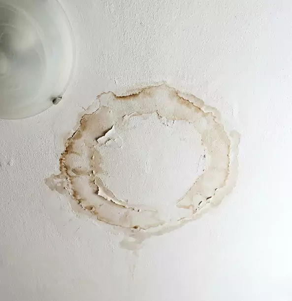 Why Resaca Property Owners Choose Resaca Restoration Pro for Ceiling Water Damage Restoration?