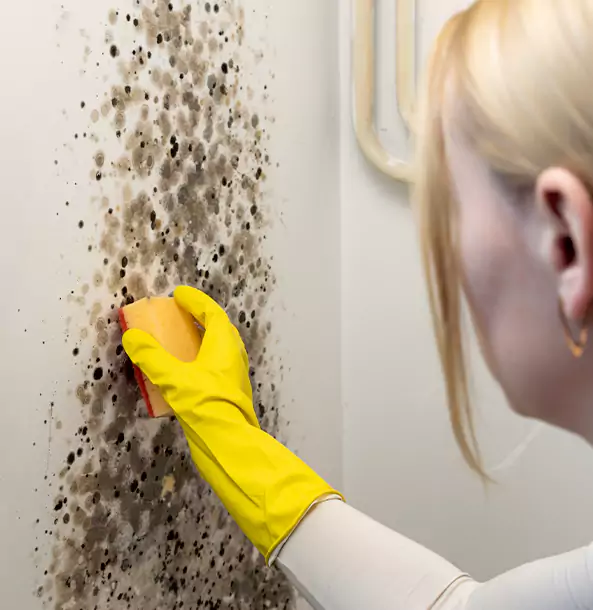 Why Resaca Restoration Pro Leads Mold Remediation in Resaca?