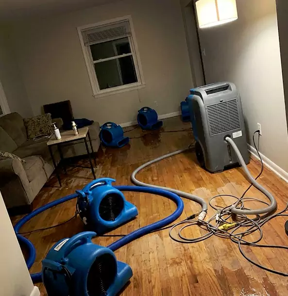 Why Resaca Property Owners Rely on Resaca Restoration Pro for Remediation?