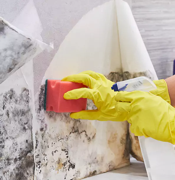 Why Resaca Trusts Resaca Restoration Pro for Mold and Water Restoration?