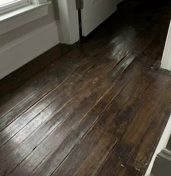 Why Resaca Homeowners Trust Resaca Restoration Pro to Fix Water Damaged Wood?