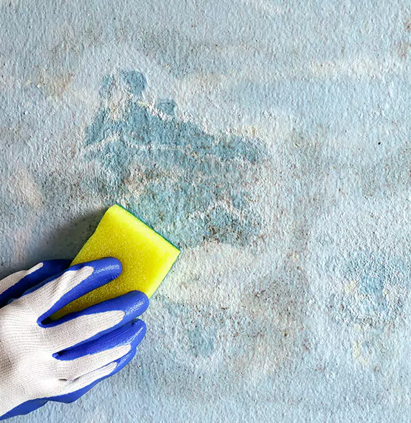 Why Resaca Restoration Pro Is the Right Choice in Resaca, GA?