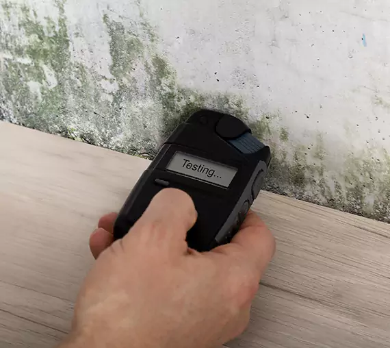 Mold Remediation Service Resaca