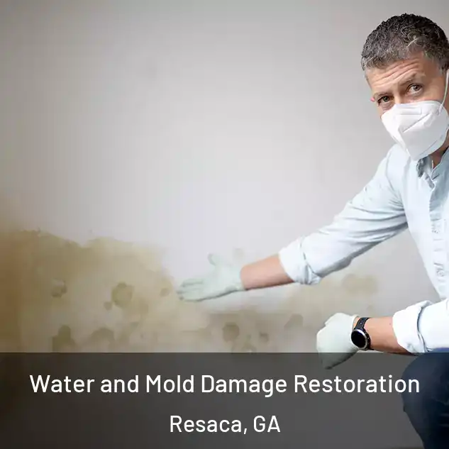  Water and Mold Damage Restoration Resaca, GA