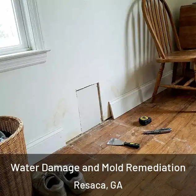  Water Damage and Mold Remediation Resaca, GA