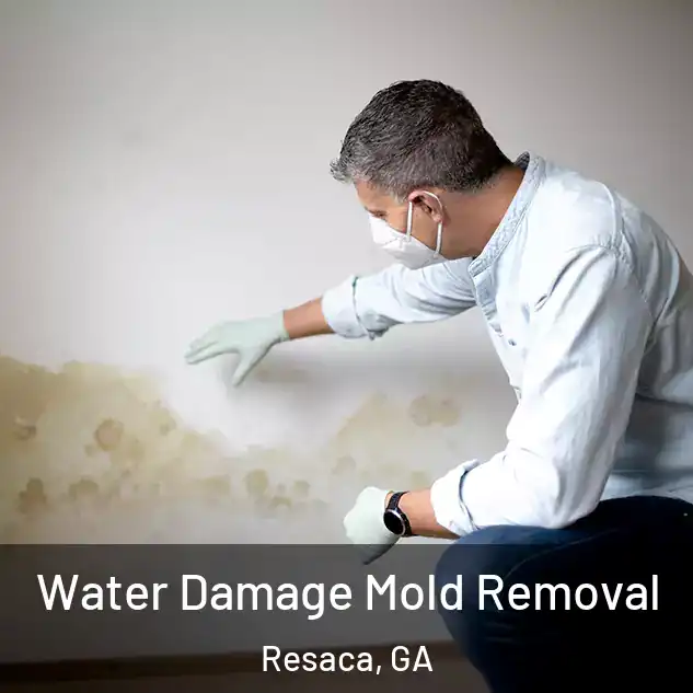 Water Damage Mold Removal Resaca, GA