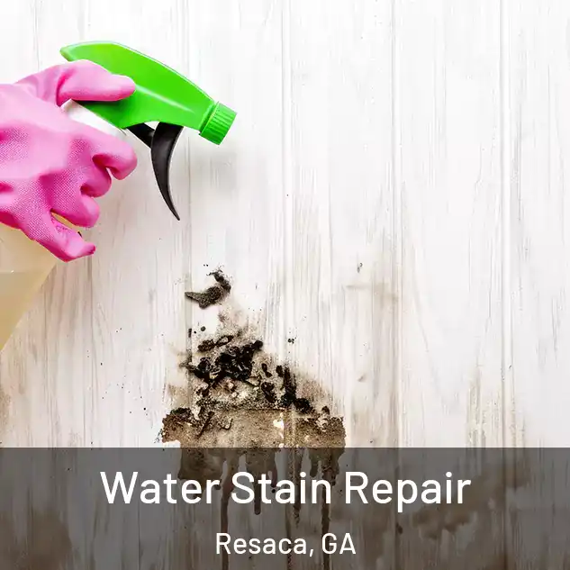  Water Stain Repair Resaca, GA